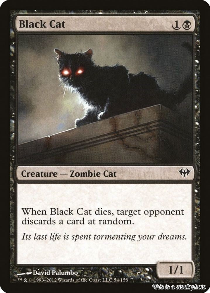 Black Cat