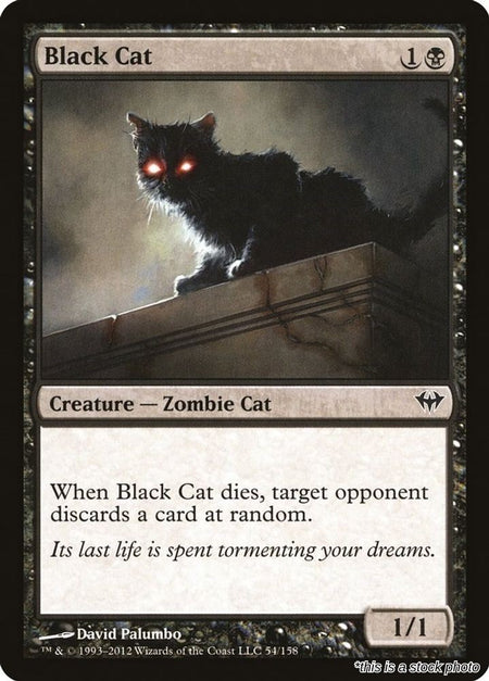Black Cat