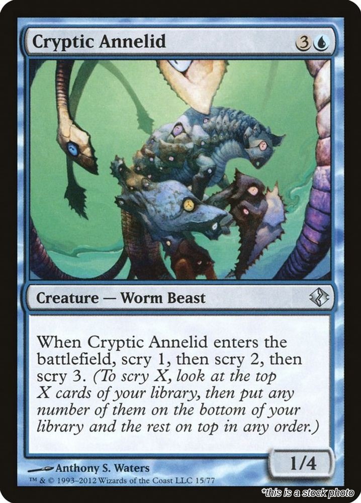 Cryptic Annelid