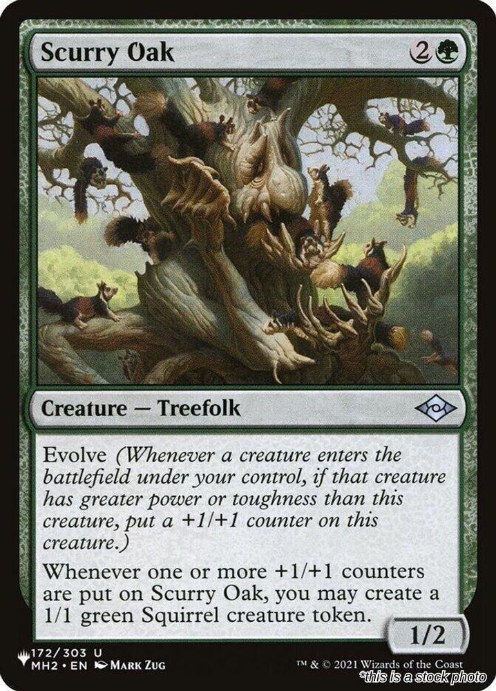 Scurry Oak