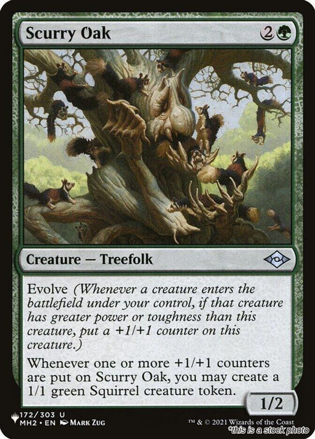 Scurry Oak