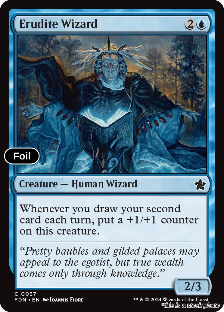 Erudite Wizard