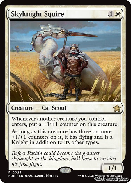 Skyknight Squire
