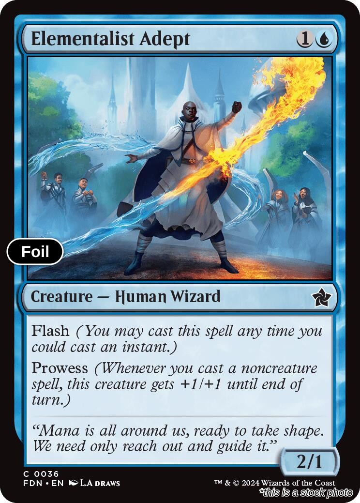 Elementalist Adept