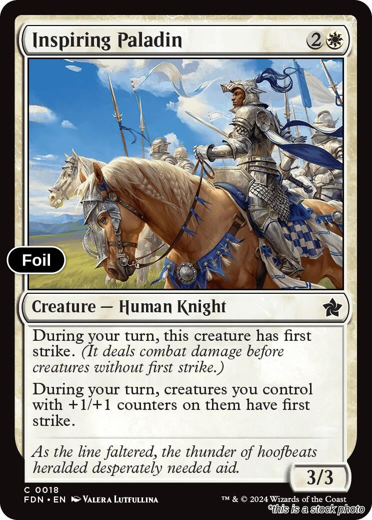 Inspiring Paladin