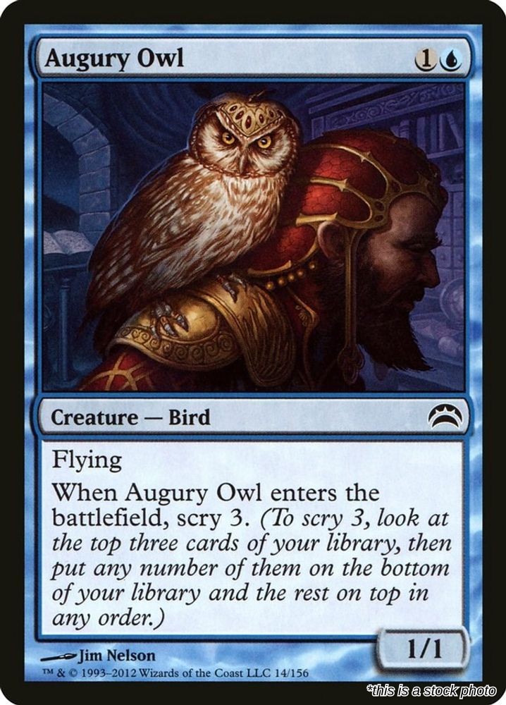 Augury Owl