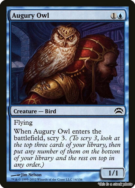 Augury Owl