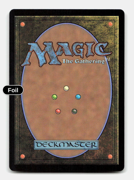Forest (0516) (First-Place Foil) (Back)