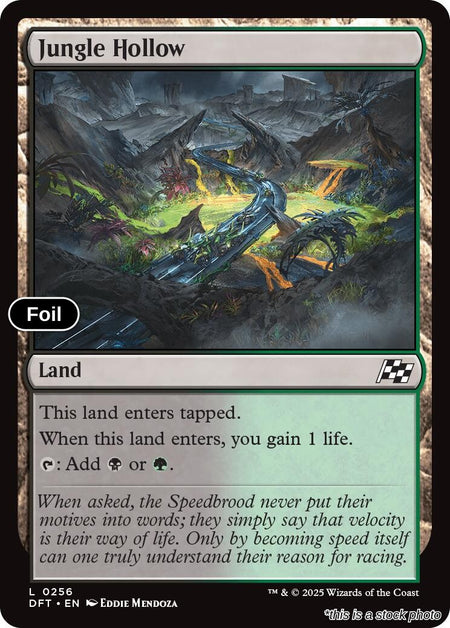 Jungle Hollow