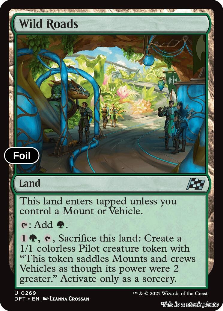Wild Roads