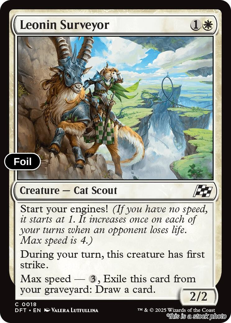 Leonin Surveyor