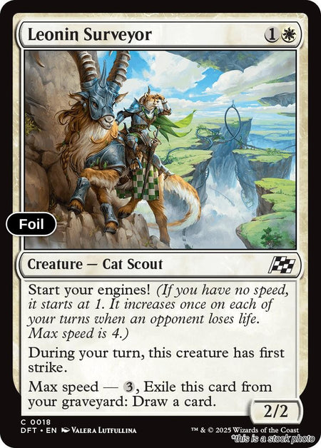 Leonin Surveyor
