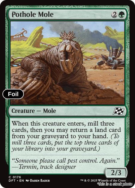 Pothole Mole