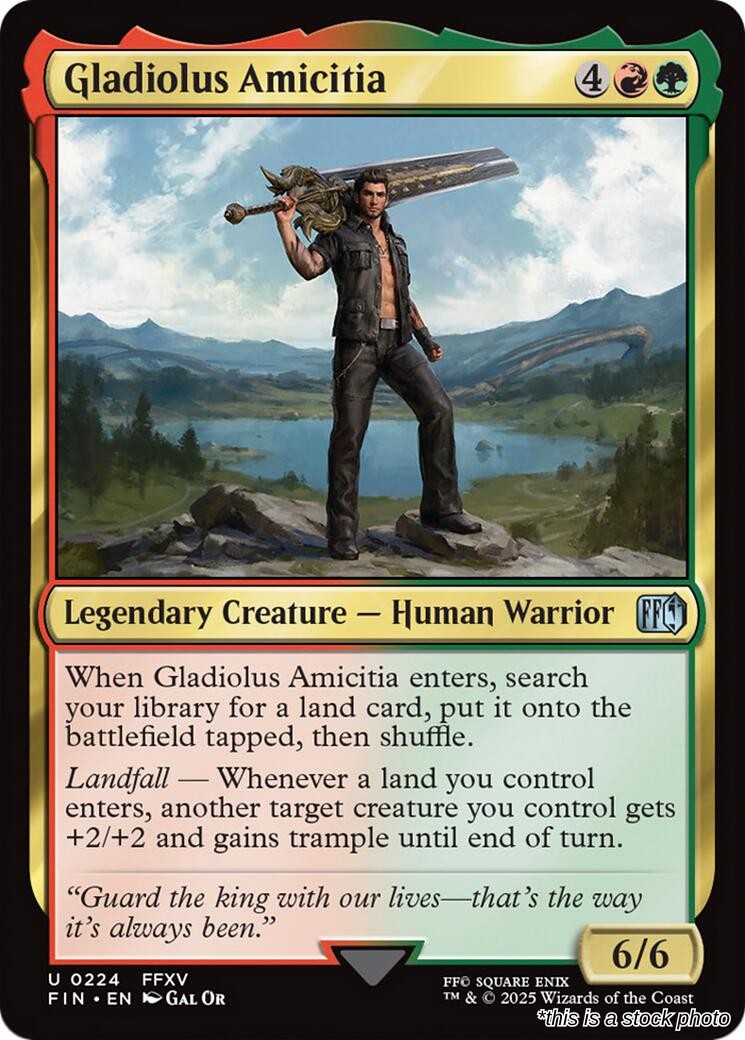 Gladiolus Amicitia