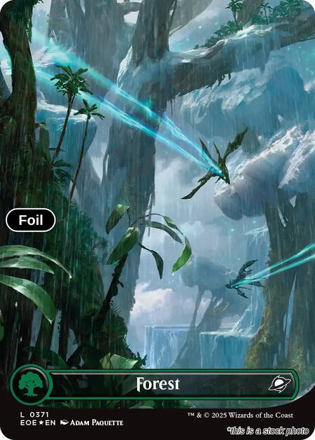 Forest (0371) (Borderless) (Galaxy Foil)