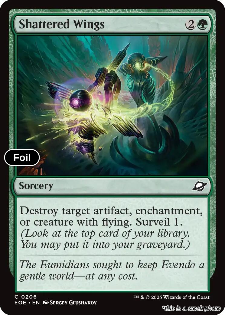 Shattered Wings