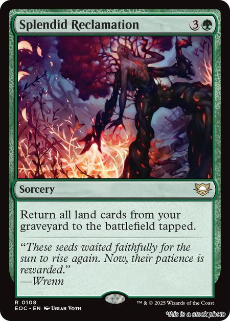 Splendid Reclamation