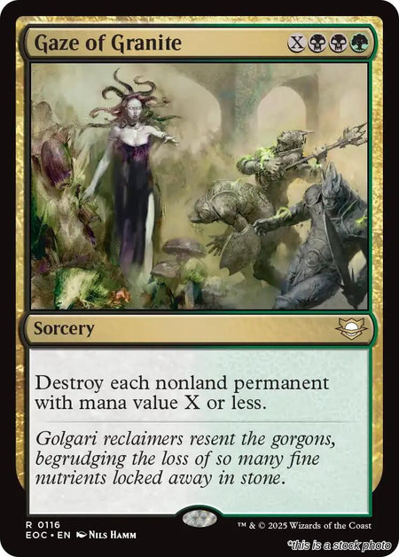 Gaze of Granite