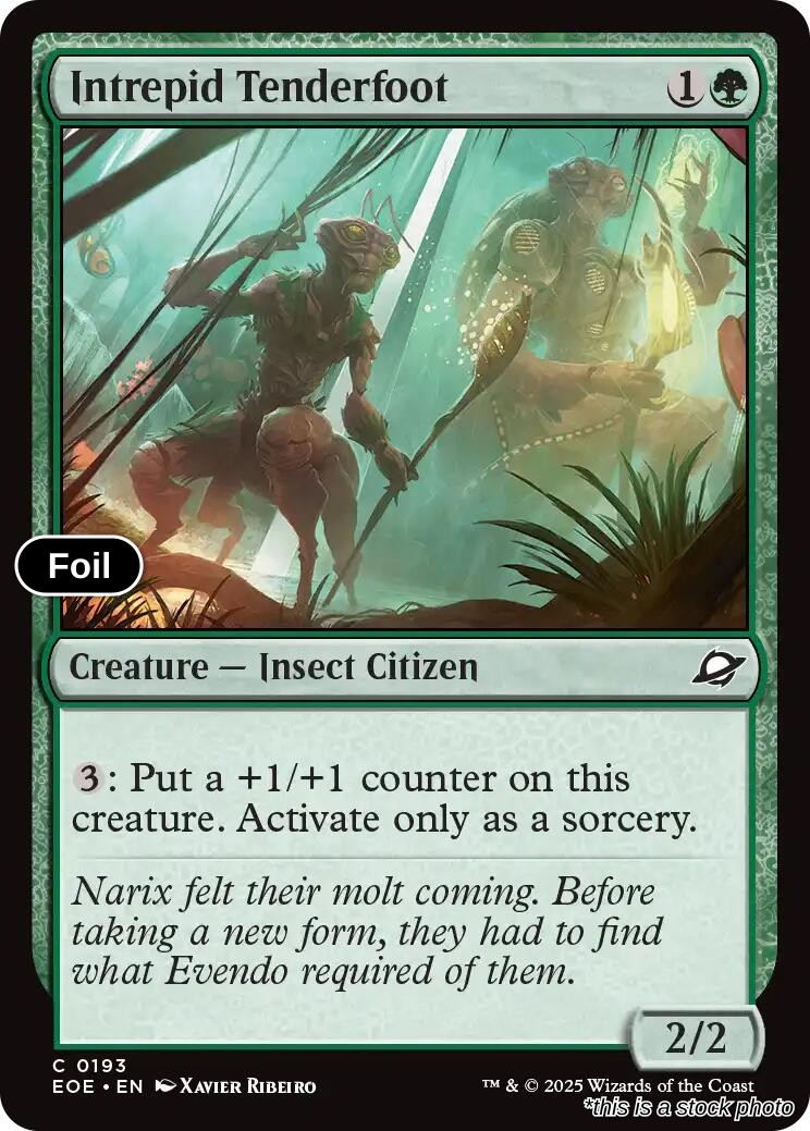 Intrepid Tenderfoot