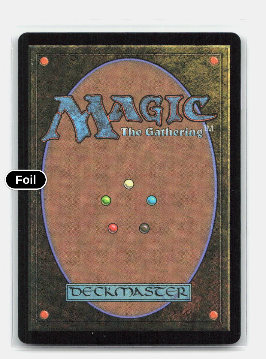 Vivi Ornitier (Borderless) (Chocobo Track Foil) (Back)