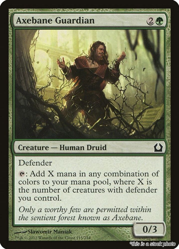 Axebane Guardian