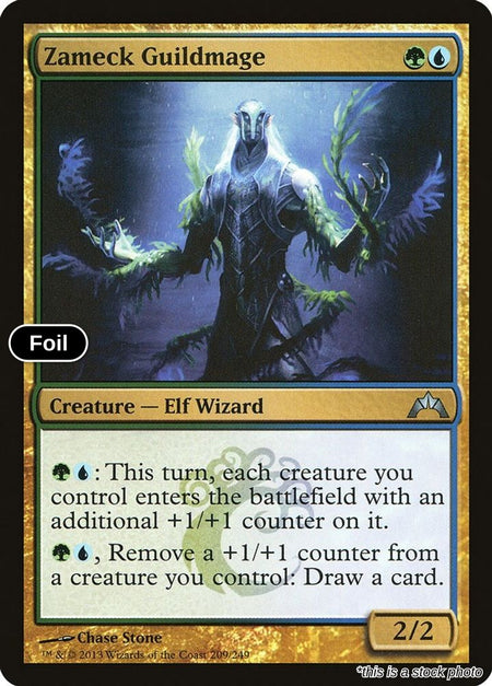 Zameck Guildmage