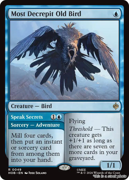Most Decrepit Old Bird