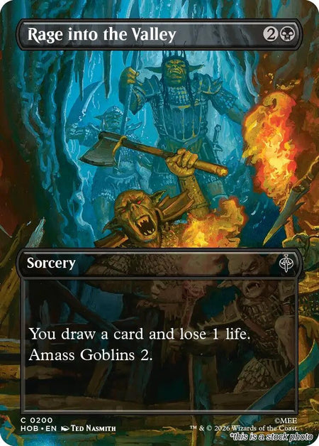 Rage into the Valley (Borderless)