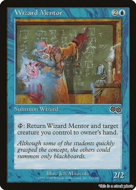 Wizard Mentor