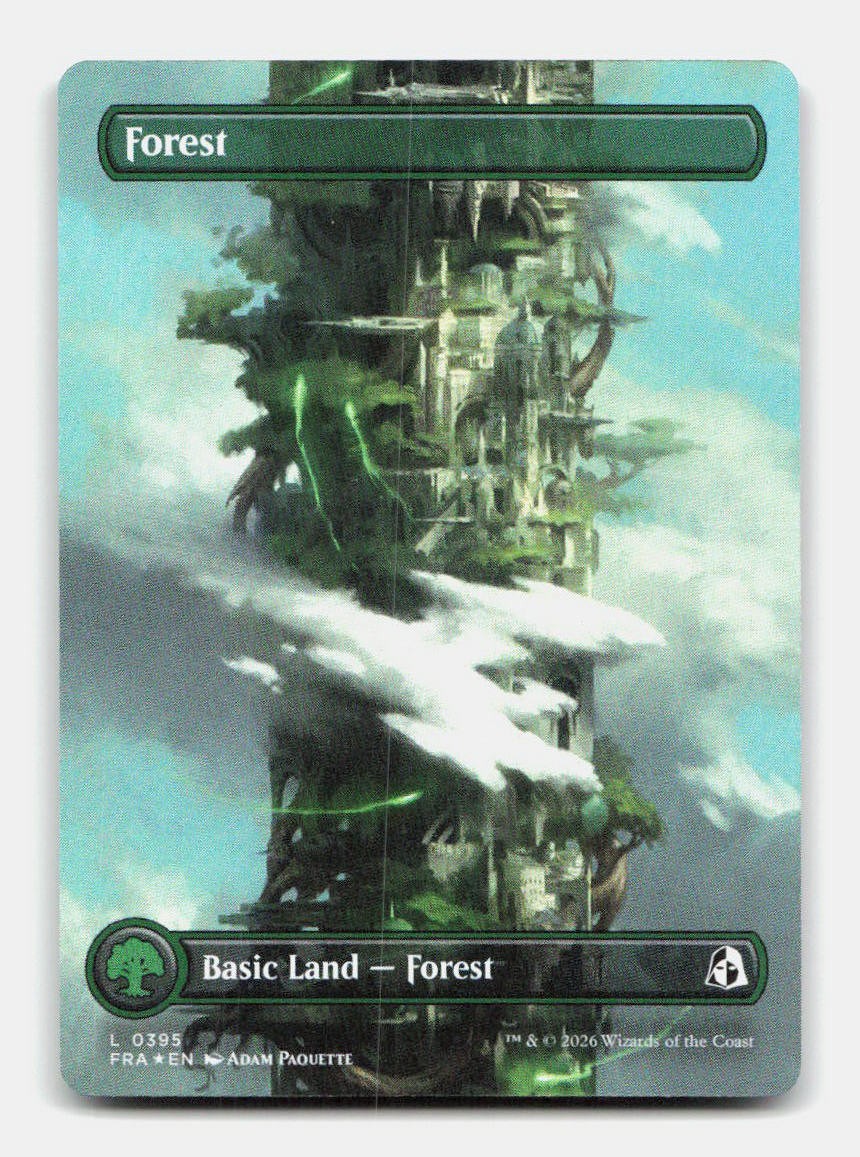 Forest (Borderless) (0395)