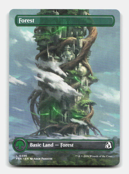 Forest (Borderless) (0396)