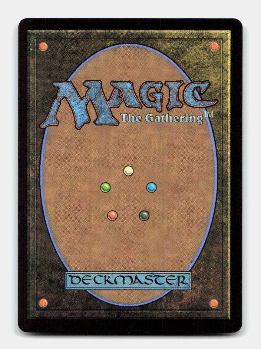 Swamp (Borderless) (0388) (Back)