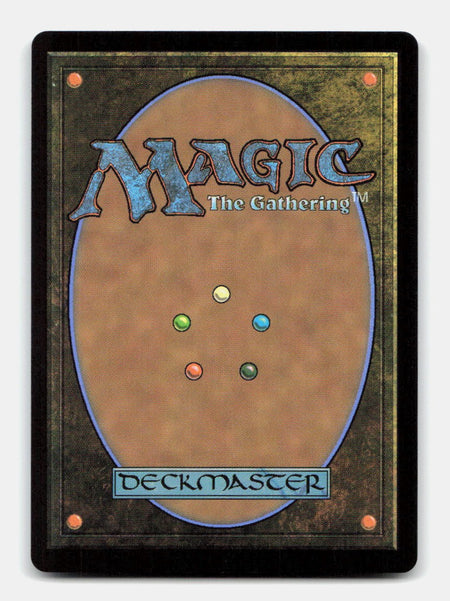 Swamp (Borderless) (0388) (Back)