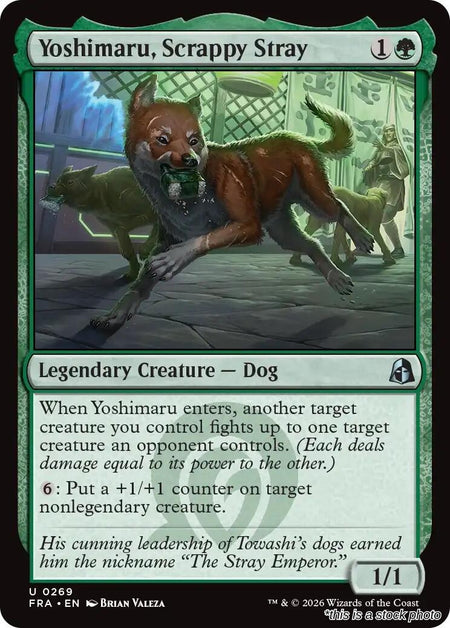 Yoshimaru, Scrappy Stray