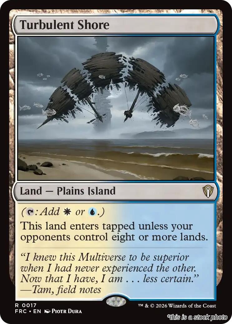 Turbulent Shore