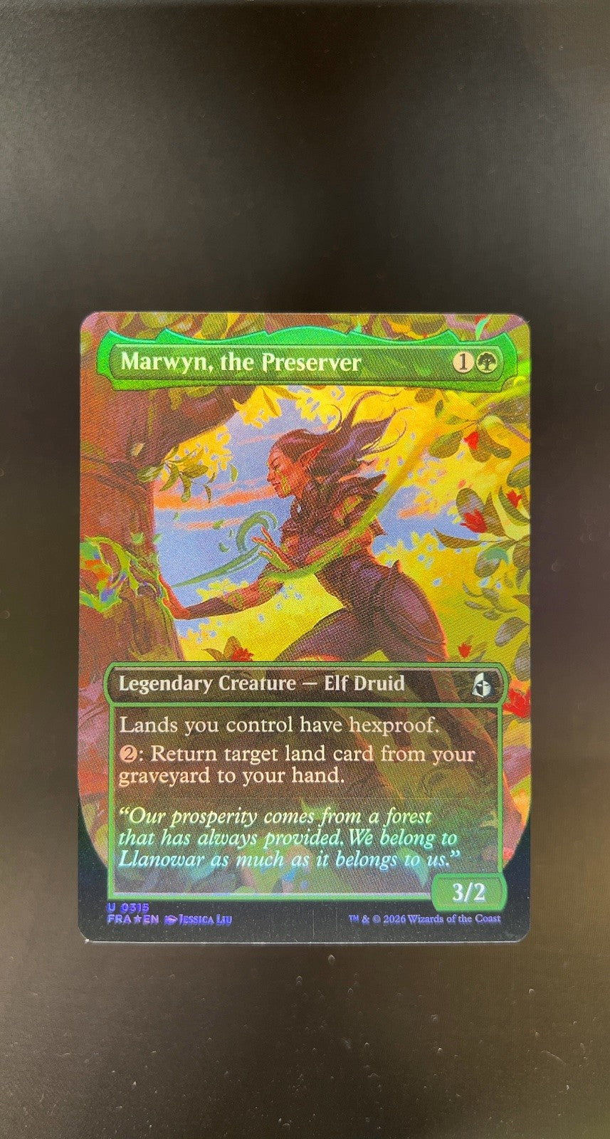 Marwyn, the Preserver (Borderless)