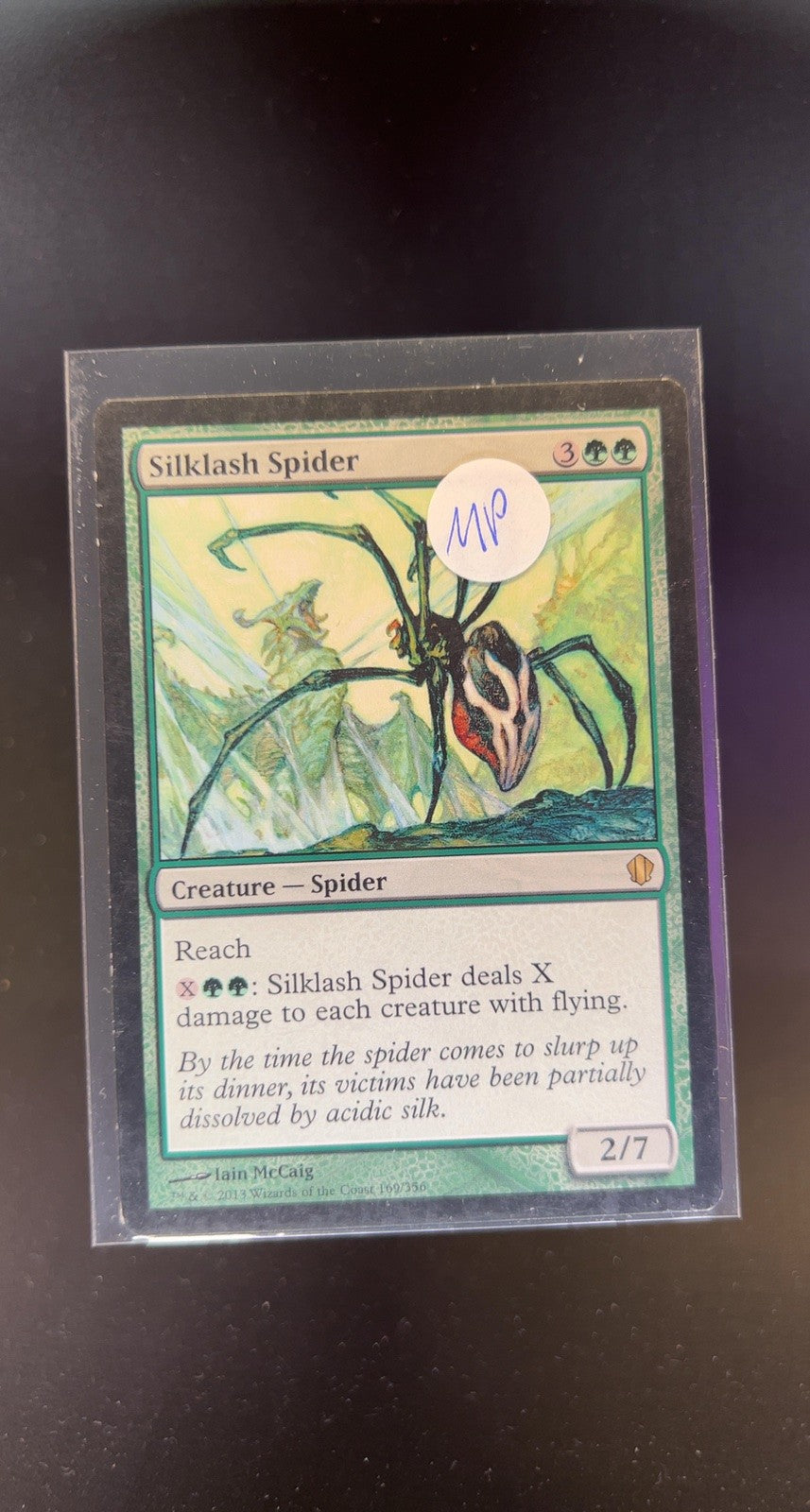 Silklash Spider