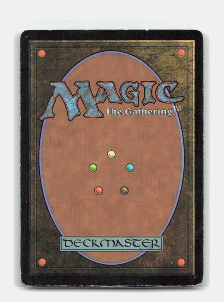 Sunscape Master (Back)