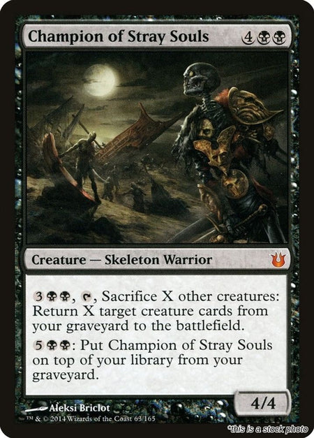 Champion of Stray Souls
