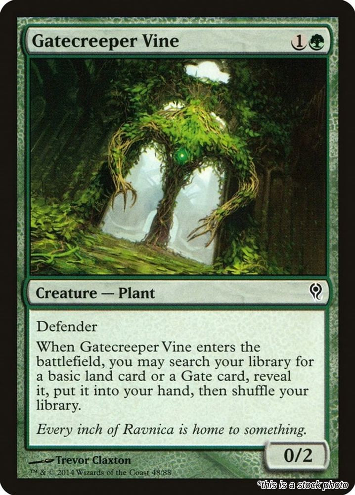 Gatecreeper Vine