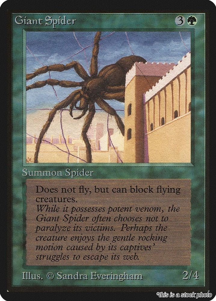 Giant Spider