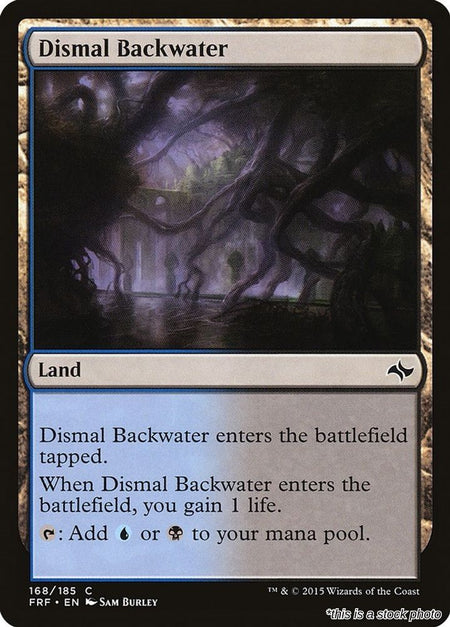 Dismal Backwater