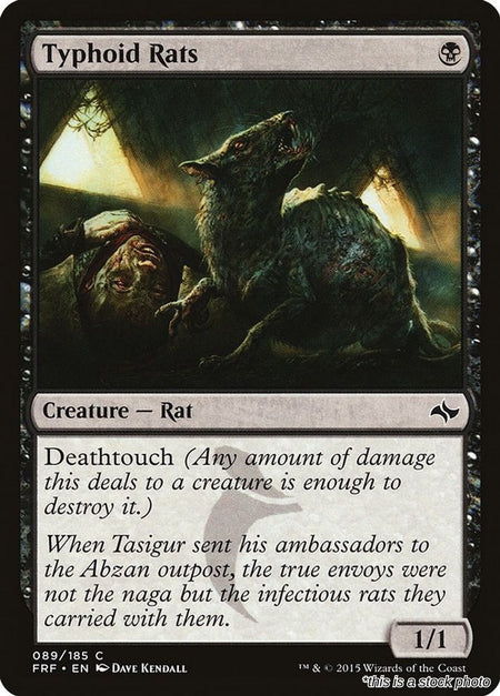 Typhoid Rats
