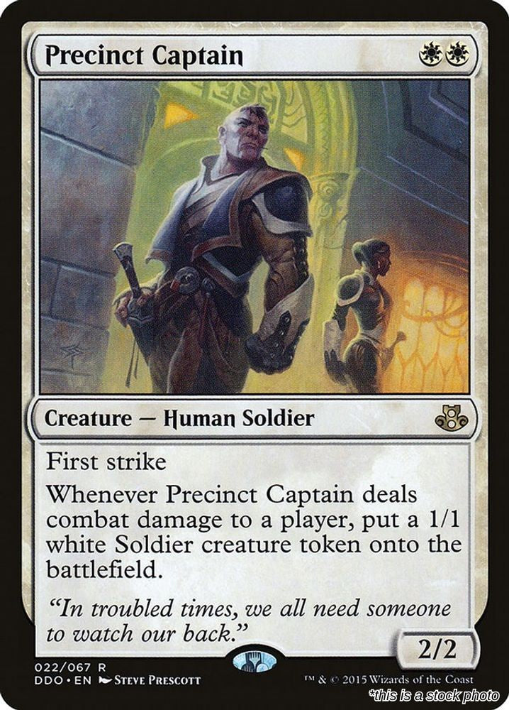 Precinct Captain