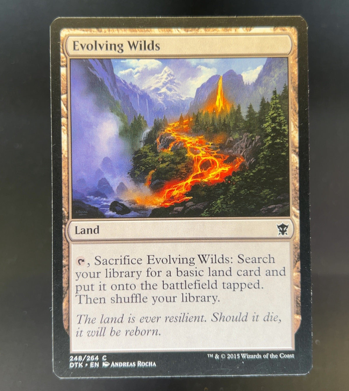 Evolving Wilds