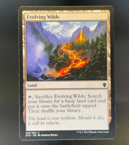 Evolving Wilds