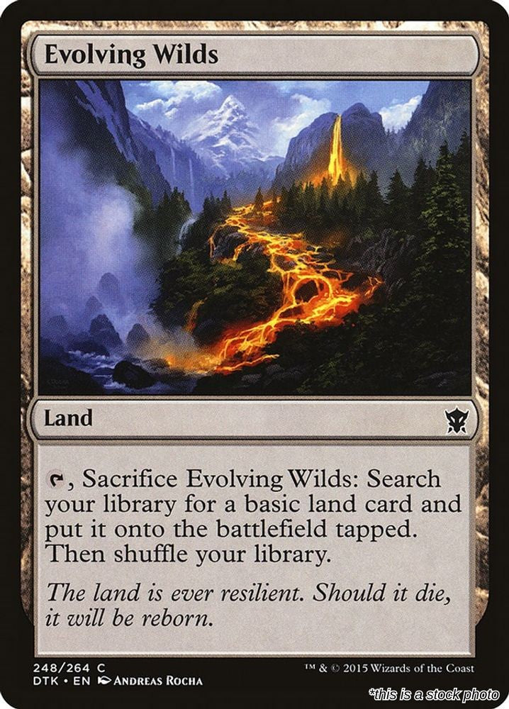 Evolving Wilds
