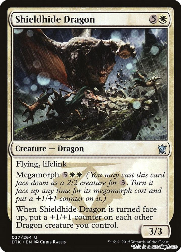 Shieldhide Dragon