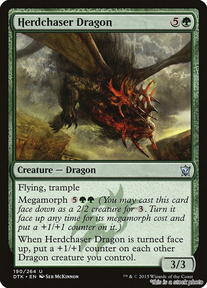 Herdchaser Dragon