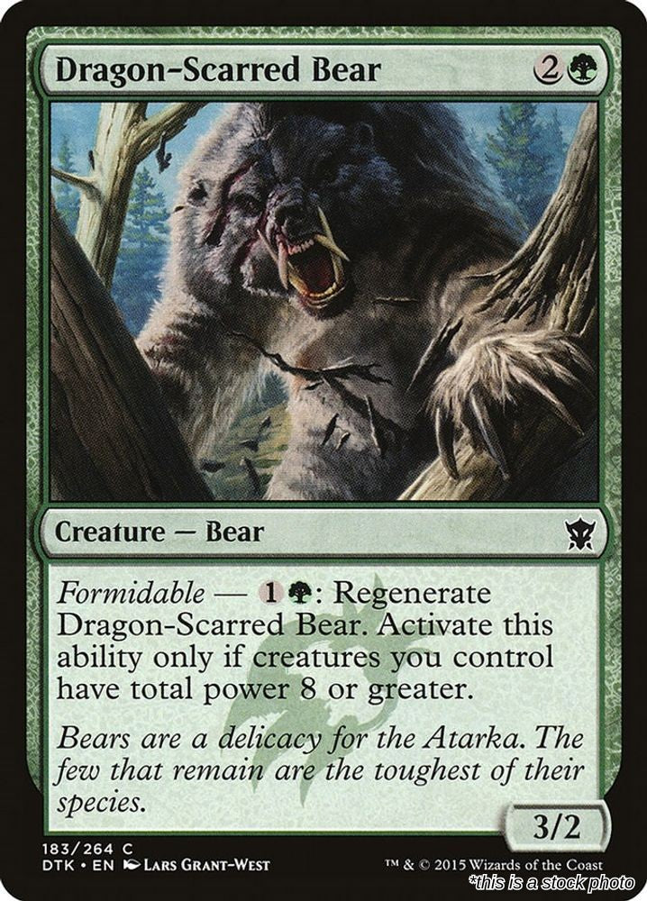 Dragon-Scarred Bear